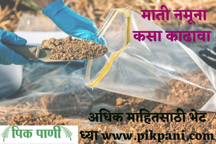 मती नमूना कसा काढावा how to collect soil sample