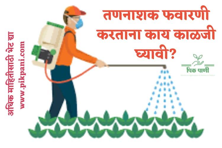 weedicide effects. weedicides precaution. तन नाशक फवारणी करताना घ्यायची काळजी