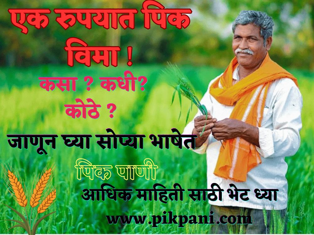 एक रुपयात पिक विमा. crop insurance in one rupee